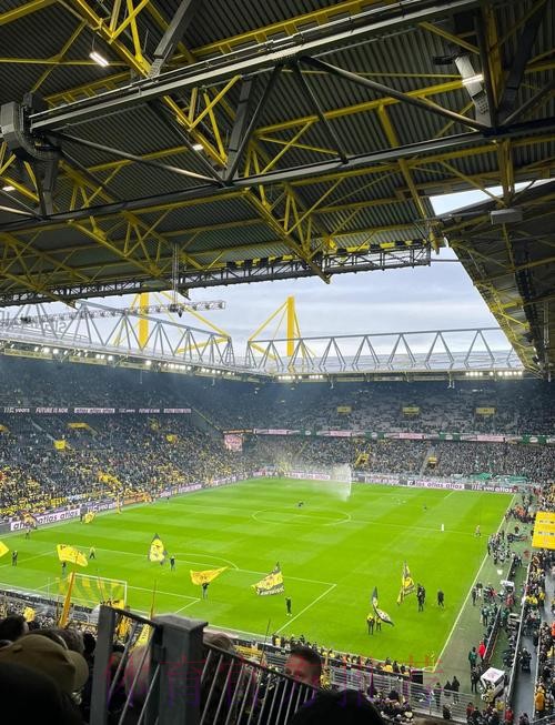 西媒：知情人称阿拉巴大概2周后重返球场训练